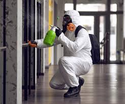 Best Black Mold Removal  in Hopewell, NJ