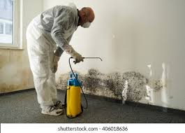 Best Comprehensive Air Testing for Mold Contaminants  in Hopewell, NJ